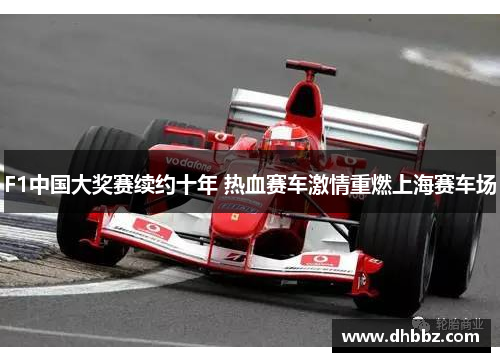 F1中国大奖赛续约十年 热血赛车激情重燃上海赛车场